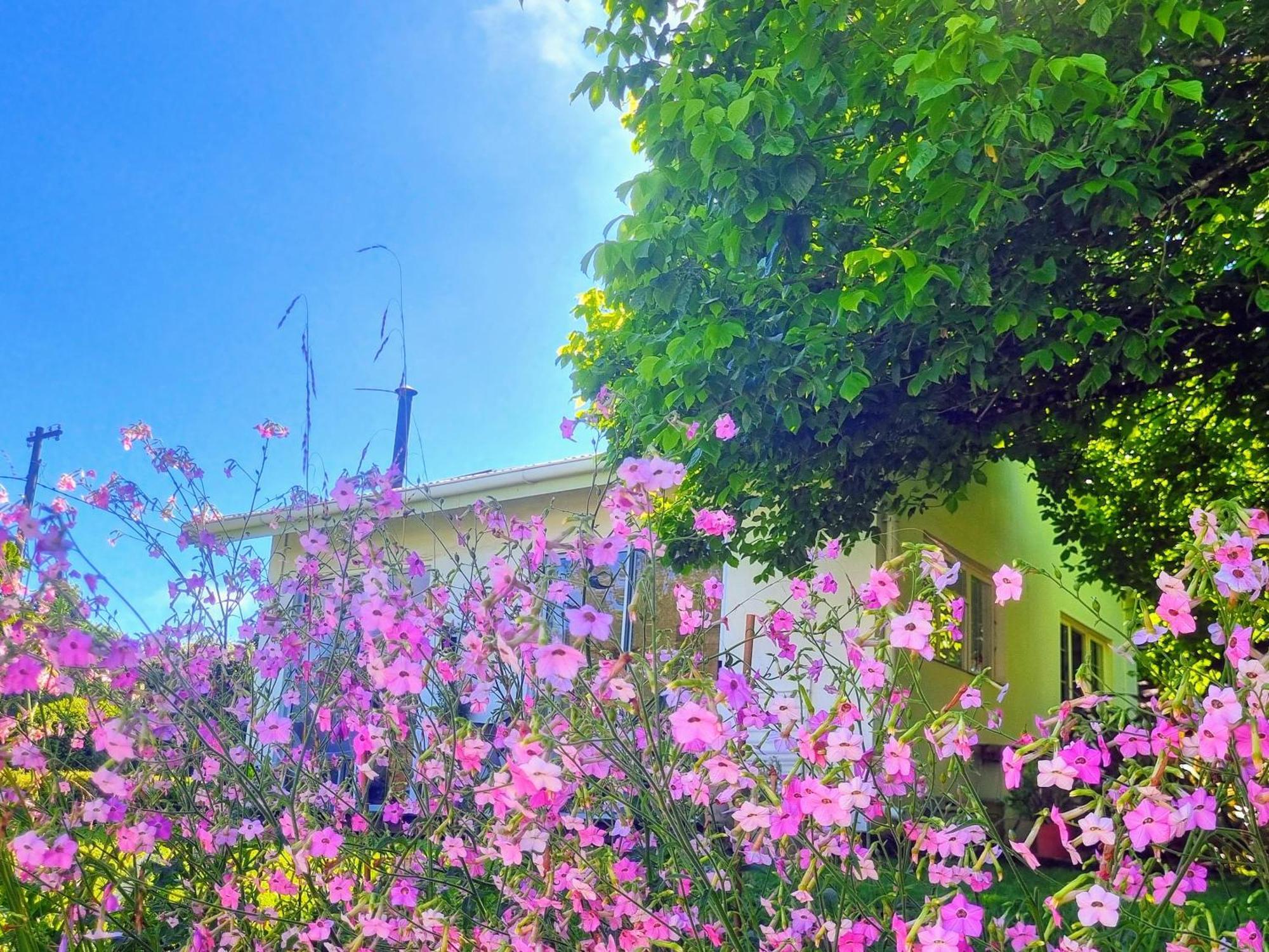 The Cottage On The Corner Himeville Εξωτερικό φωτογραφία